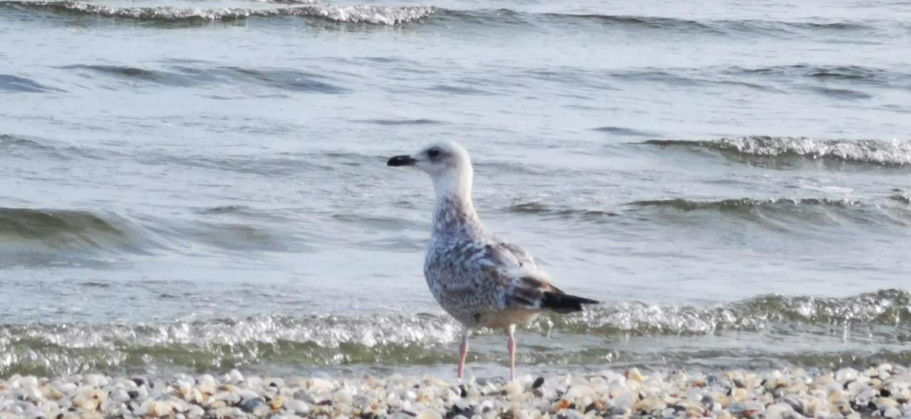 Parkidylle Swinoujscie Exterior foto